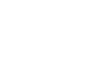Thedayafter